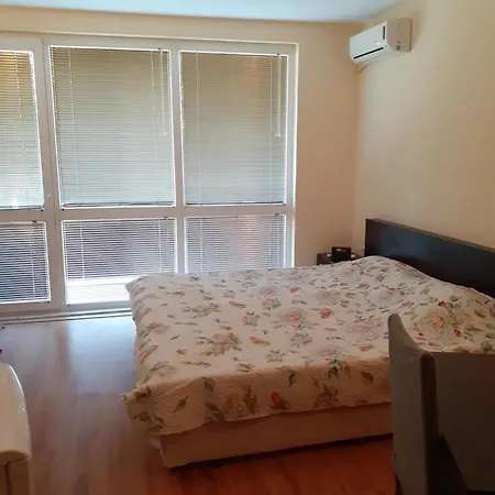 студио дденко Apartment *